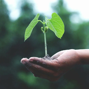 Diese Seite ist nachhaltig.